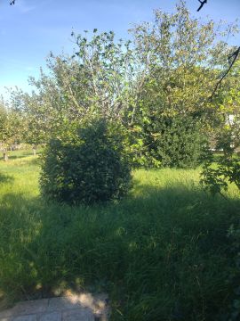 Gartenarbeit