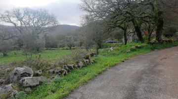 Pedreiro