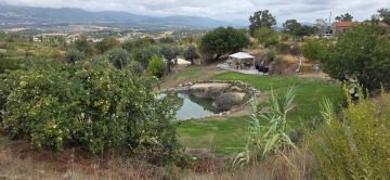 Jardinagem e Relvados