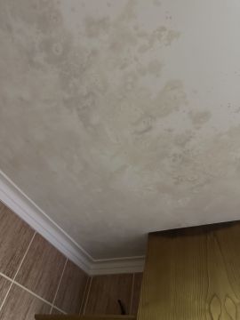 Especialista de Reparação de Telhados - Casa