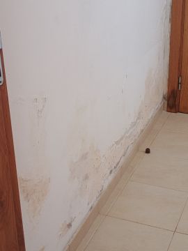 Empresa de Pladur - Casa