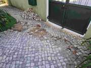 Tile Flooring Professional