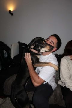 Hotel para Cães