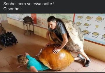 Pintor de automóveis - Serviços Auto