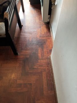 Técnico de Pisos em Madeira