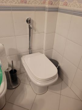 Toilet Repair Service