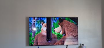 Reparador de TV