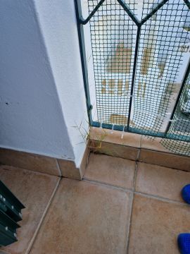Experte für den Hausbau - Haus