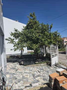 Tree Trimmer
