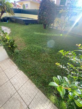 Serviço de Jardinagem