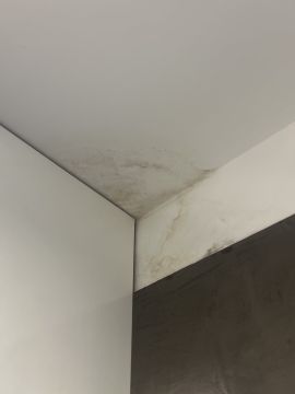 Pintura de Interiores
