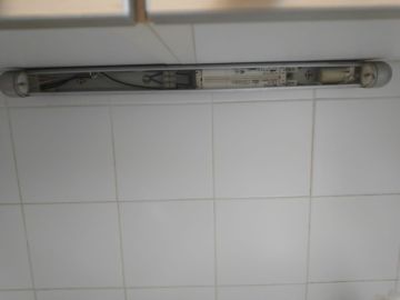 Biscateiro