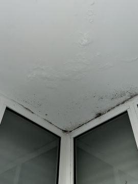 Albañil