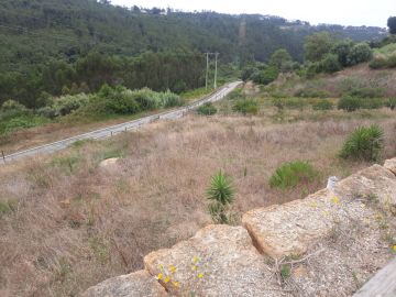 Especialista de Limpeza de Terrenos