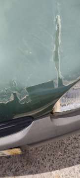 Car Paint