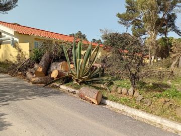Gartenarbeiten - Haus