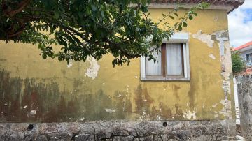 Especialista em Aplicar Reboco - Casa