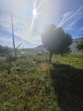Jardinagem - Jardinagem e Relvados