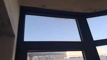 Especialista em Reparação de Janelas