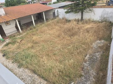 Artificial Turf Specialist
