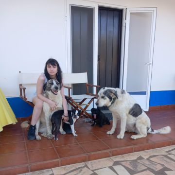Vanda Fernandes - Cascais - Services pour animaux de compagnie