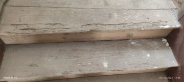 Carpenter