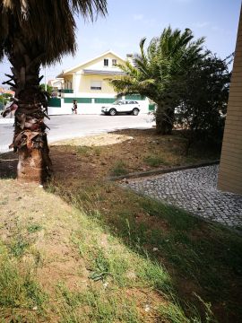 Lawncare