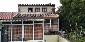 Dachdecker (Bau- oder Austausch)