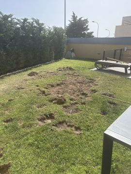 Gardening