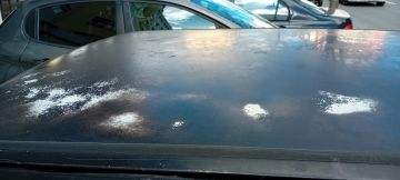 Pintura de Automóveis - Carros