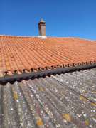 Roof Installation Professional