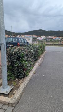 Jardinagem e Relvados - Casa