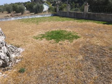 Jardinagem e Relvados