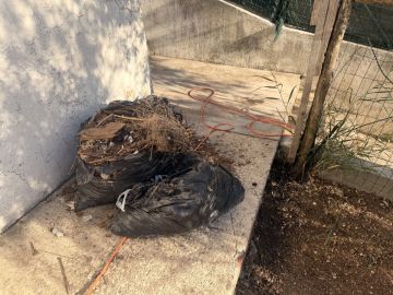 Especialista em Remoção de Lixo e Entulho