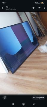 TV Repair Specialist