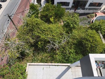 Serviço de Jardinagem