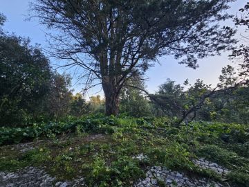 Serviço de Jardinagem - Casa