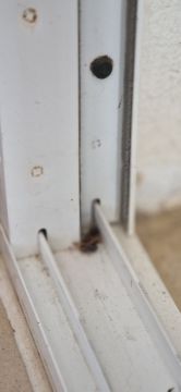 Pest Extermination Companies