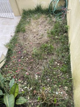 Jardinagem