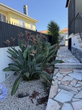 Jardinagem