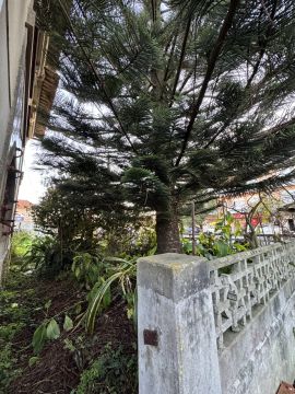 Gartenarbeiten