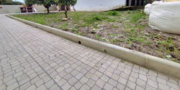 Artificial Turf Specialist