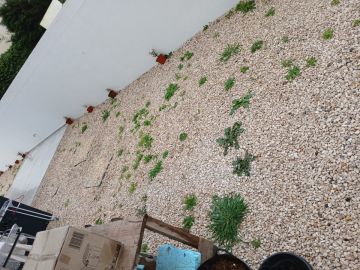 Artificial Turf Installation - Landscaping