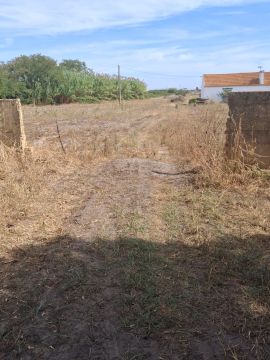 Especialista de Reparação de Terraços