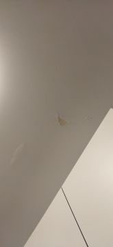 Peintre en bâtiment intérieur