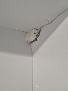 Carpentry and Woodworking