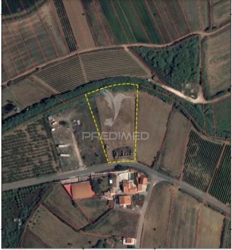 Land Surveyor