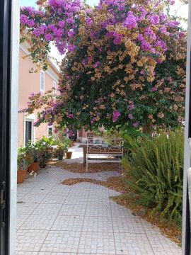 Jardinagem e Relvados