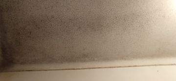 Pintura de Casas - Pintura