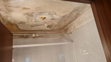 Painters - Home Improvements